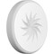 Ekena Millwork Standard Grayson Spiral Rosette With Rounded Edge, 5"W x 5"H x 3/4"P ROSP050X050X075GRY14 - alternate 1